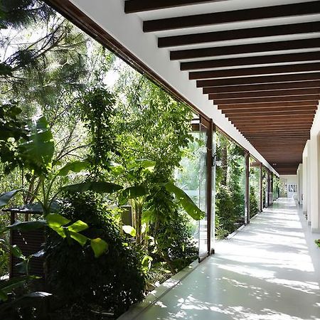 The Lifeco Bodrum Well-Being Detox Center And Vegan Hotel (Adults Only) Гёльтюрбюку Экстерьер фото