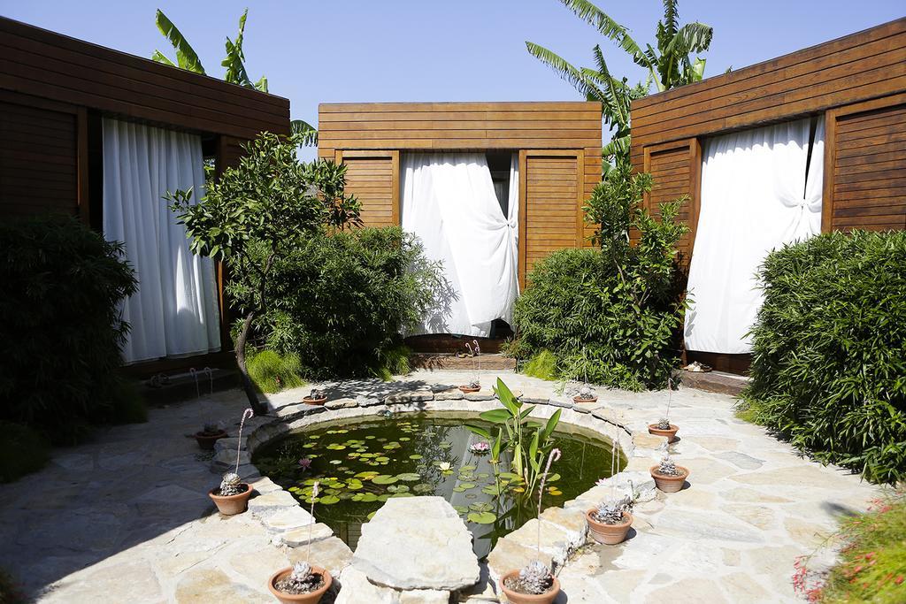 The Lifeco Bodrum Well-Being Detox Center And Vegan Hotel (Adults Only) Гёльтюрбюку Экстерьер фото